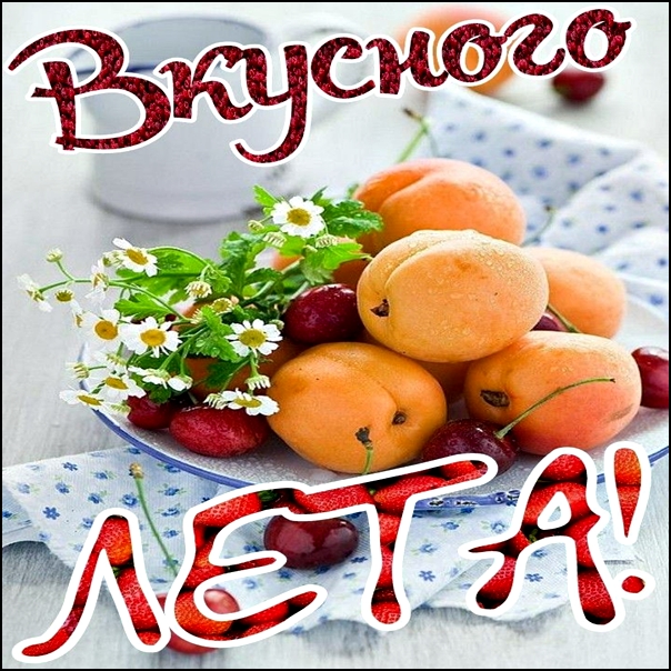 VTEM Slideshow