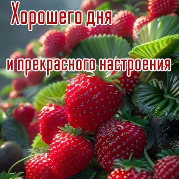 VTEM Slideshow