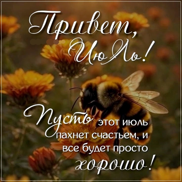 VTEM Slideshow