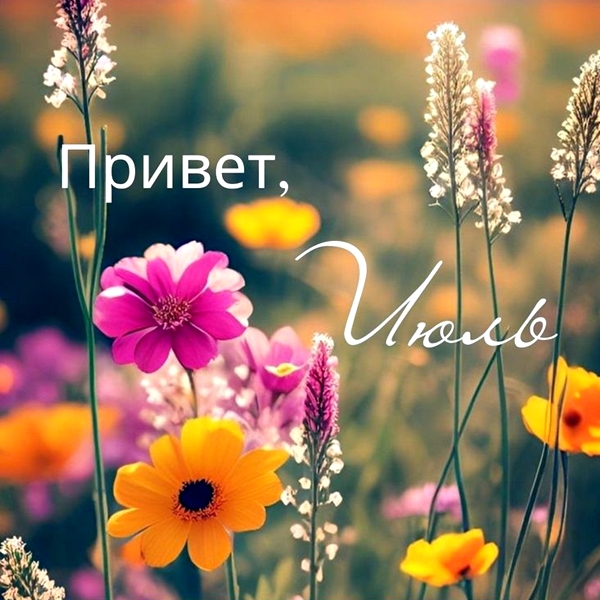 VTEM Slideshow