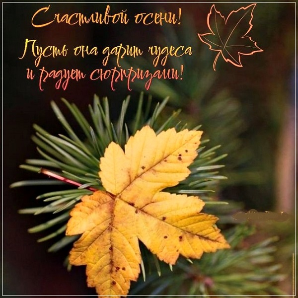 VTEM Slideshow