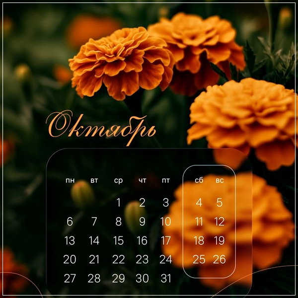 VTEM Slideshow